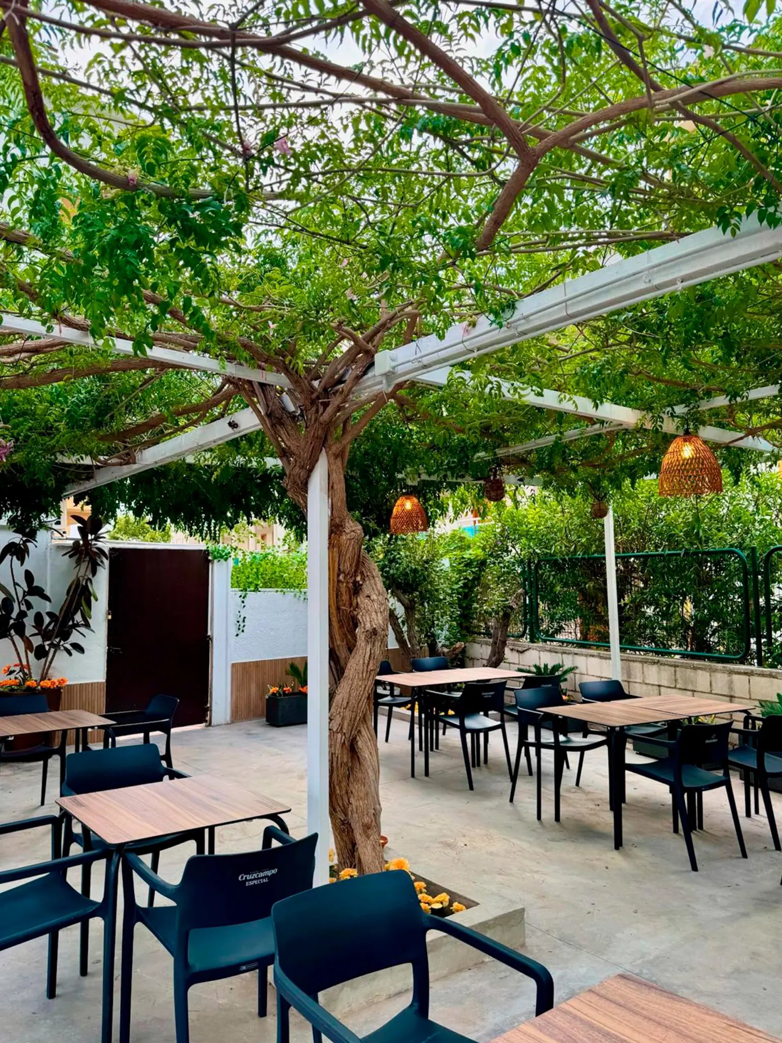 Desayuno en la terraza de El Chiringuito, El Albir